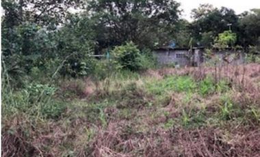 VENTA DE TERRENO EN LA PINTADA