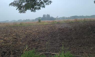 Terreno de Venta en el Nuevo Samborondón