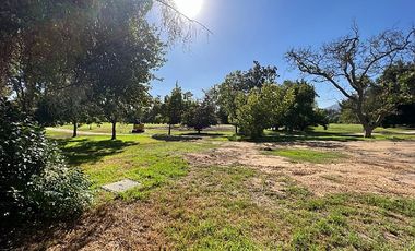 CLUB DE GOLF / PTE RIESCO