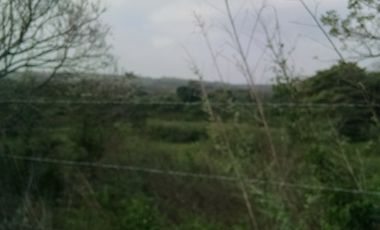 HECTAREAS EN RENTA EN CARRETERA SAN JUIAN SANTAFE VERACRUZ | arlette flores