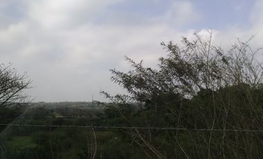 HECTAREAS EN RENTA EN CARRETERA SAN JUIAN SANTAFE VERACRUZ | arlette flores