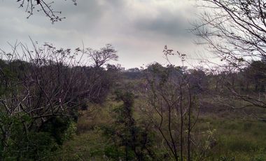 HECTAREAS EN RENTA EN CARRETERA SAN JUIAN SANTAFE VERACRUZ | arlette flores