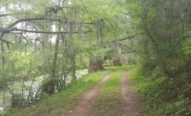 RANCHO EN VENTA EN LINARES