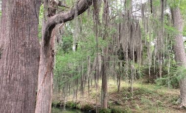 RANCHO EN VENTA EN LINARES