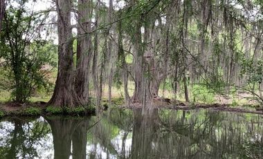 RANCHO EN VENTA EN LINARES