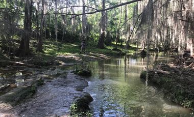 RANCHO EN VENTA EN LINARES