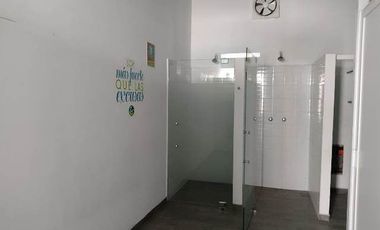 Local en Renta en Metepec(A)
