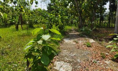 Hunian Nanggulan view Bagus, Nyaman, Adem SHM ready siap AJB