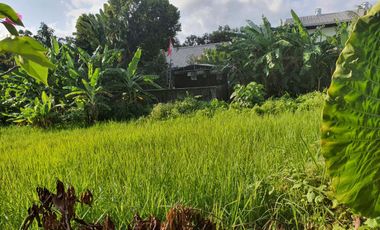 Leasehold - Rare Opportunity! 10 Are Land in prime area, Canggu, Bali