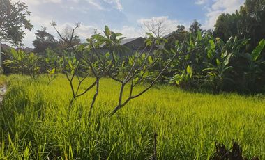 Leasehold - Rare Opportunity! 10 Are Land in prime area, Canggu, Bali