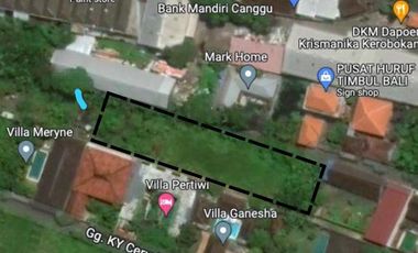 Leasehold - Rare Opportunity! 10 Are Land in prime area, Canggu, Bali