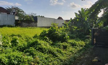 Leasehold - Rare Opportunity! 10 Are Land in prime area, Canggu, Bali