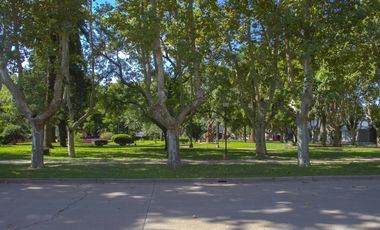 Casa en Chabas - Piscina - Jardin