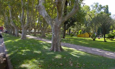 Casa en Chabas - Piscina - Jardin