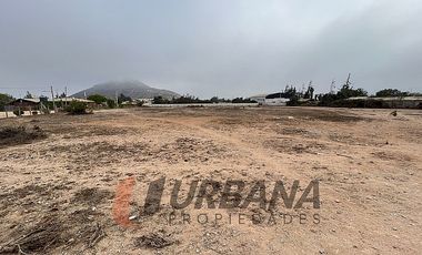 ARRIENDO AMPLIO SITIO SECTOR PAN DE AZUCAR