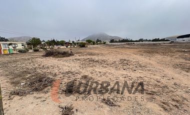 ARRIENDO AMPLIO SITIO SECTOR PAN DE AZUCAR