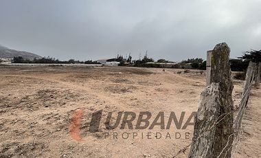 ARRIENDO AMPLIO SITIO SECTOR PAN DE AZUCAR