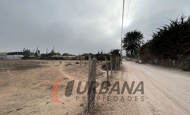 ARRIENDO AMPLIO SITIO SECTOR PAN DE AZUCAR