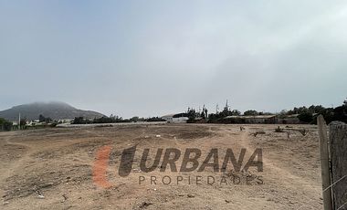 ARRIENDO AMPLIO SITIO SECTOR PAN DE AZUCAR