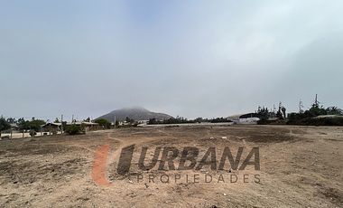 ARRIENDO AMPLIO SITIO SECTOR PAN DE AZUCAR