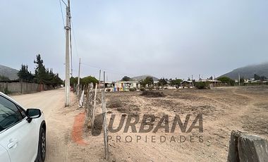 ARRIENDO AMPLIO SITIO SECTOR PAN DE AZUCAR