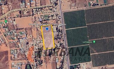 ARRIENDO AMPLIO SITIO SECTOR PAN DE AZUCAR