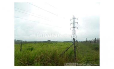 Finca Producción en venta en vía a timba 1182780