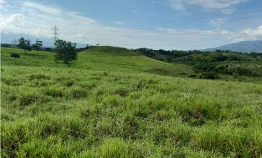 Finca Producción en venta en vía a timba 1182780