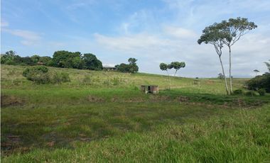 Finca Producción en venta en vía a timba 1182780