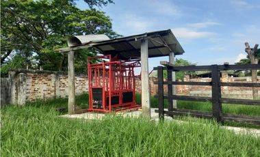 Finca Producción en venta en vía a timba 1182780