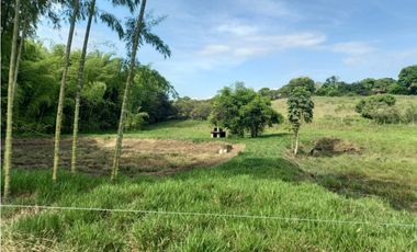 Finca Producción en venta en vía a timba 1182780