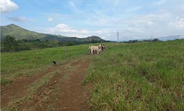 Finca Producción en venta en vía a timba 1182780
