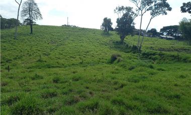 Finca Producción en venta en vía a timba 1182780