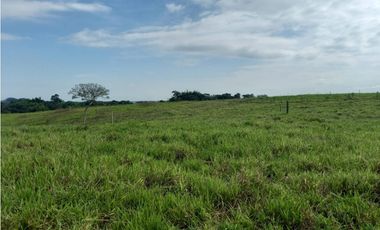 Finca Producción en venta en vía a timba 1182780