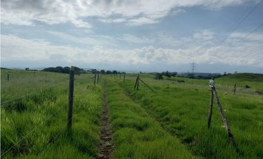 Finca Producción en venta en vía a timba 1182780