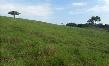 Finca Producción en venta en vía a timba 1182780