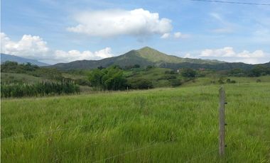 Finca Producción en venta en vía a timba 1182780