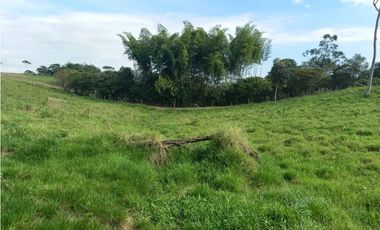 Finca Producción en venta en vía a timba 1182780