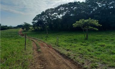 Finca Producción en venta en vía a timba 1182780