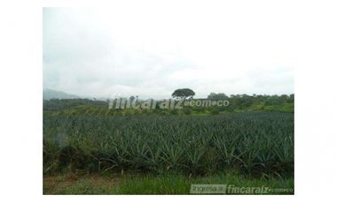 Finca Producción en venta en vía a timba 1182780