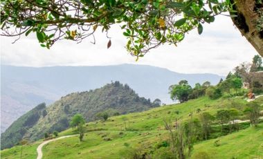 Lote en venta, San Félix, Bello