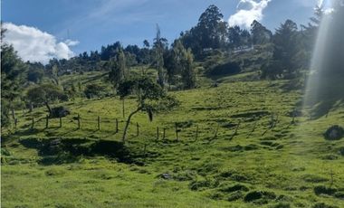 Lote en venta, San Félix, Bello