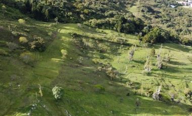 Lote en venta, San Félix, Bello