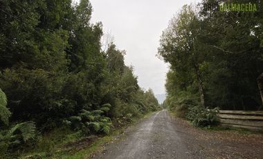 Parcela en Venta en Parcela en Polincay - Loteo Alerce Escondido