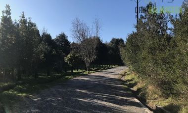Parcela en Venta en Parcela en Polincay - Loteo Alerce Escondido