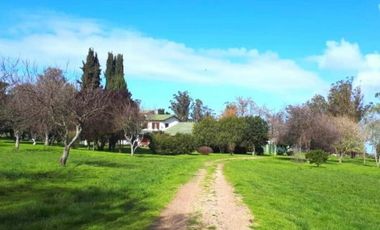 Campo en Venta de 78 Hectareas con casa en Miramar