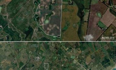 Campo en Venta de 78 Hectareas con casa en Miramar