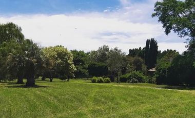Campo en Venta de 78 Hectareas con casa en Miramar