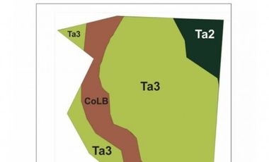 Campo en Venta de 78 Hectareas con casa en Miramar
