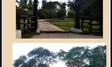 Campo en Venta de 78 Hectareas con casa en Miramar